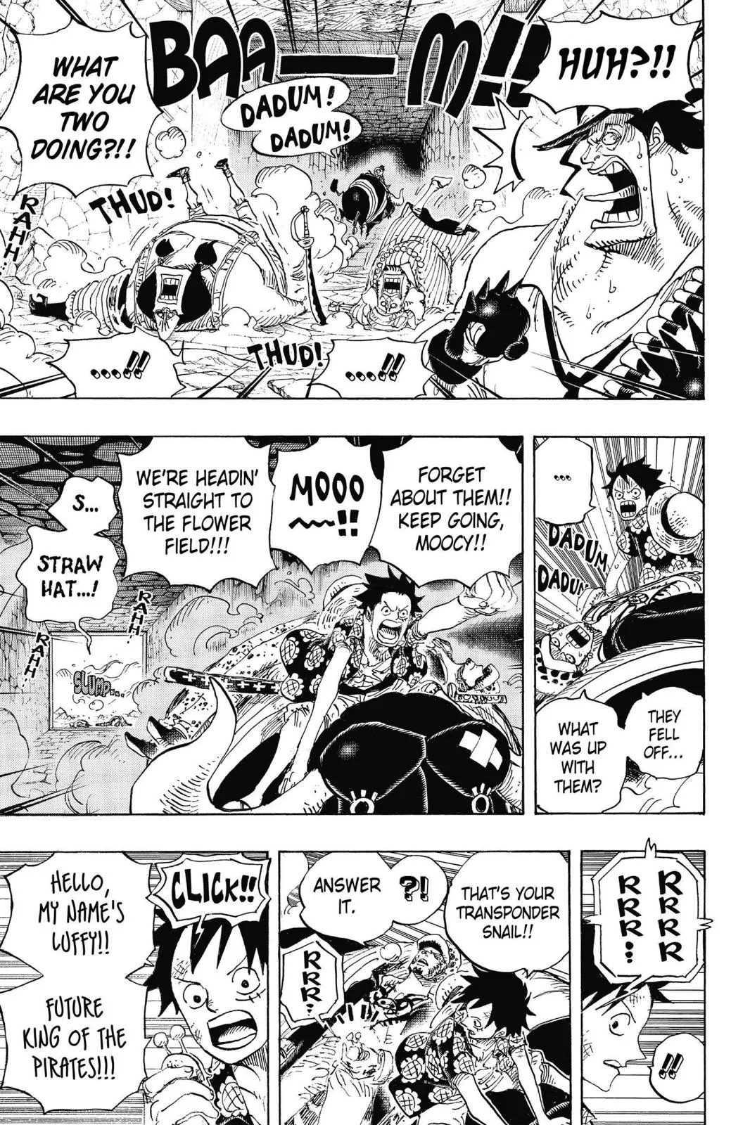 One Piece Chapter 751 Image 13