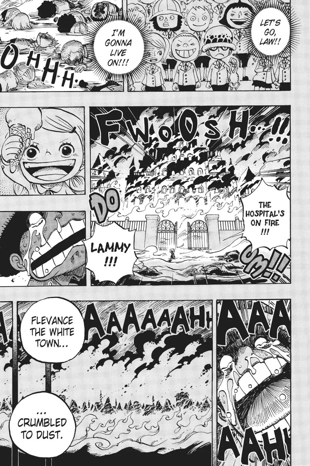 One Piece Chapter 762 Image 14