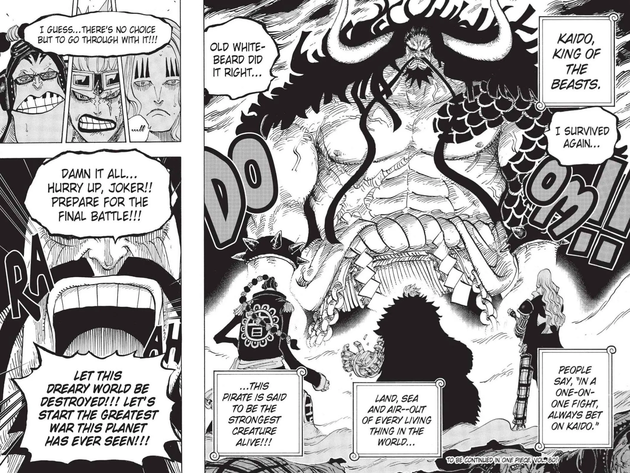 One Piece Chapter 795 Image 14