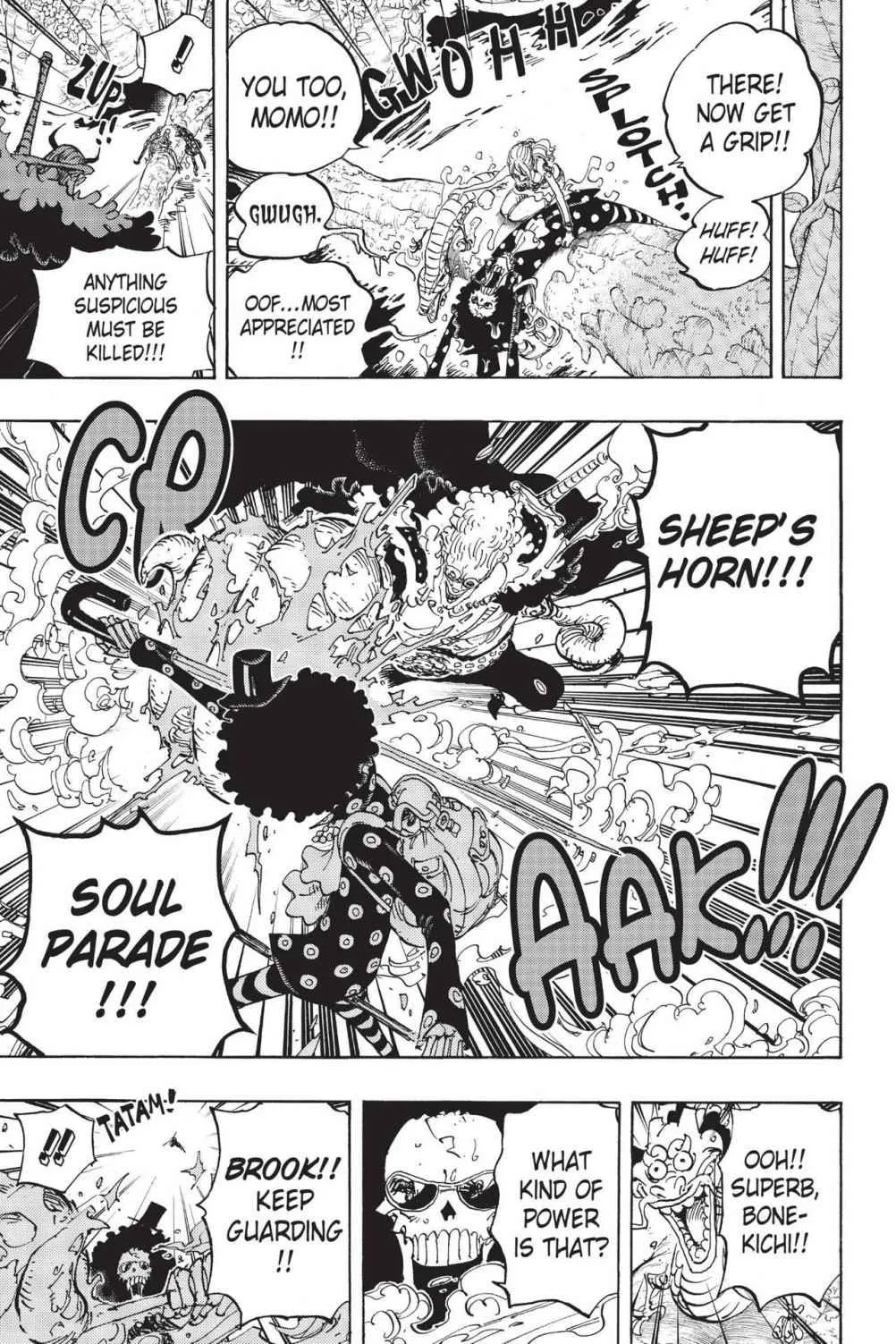 One Piece Chapter 795 Image 5