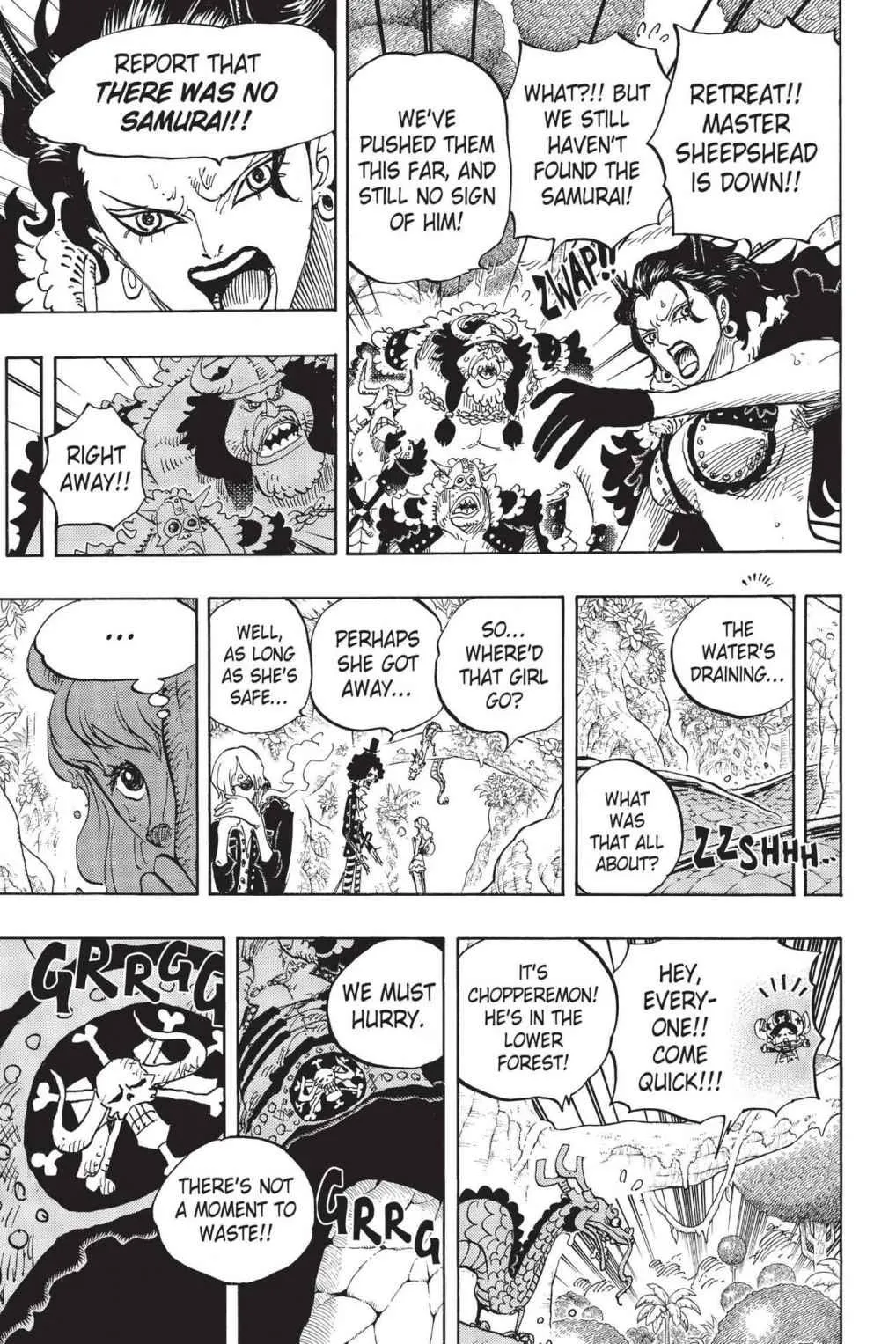 One Piece Chapter 795 Image 7