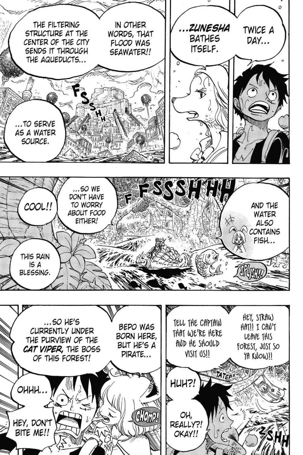 One Piece Chapter 806 Image 5