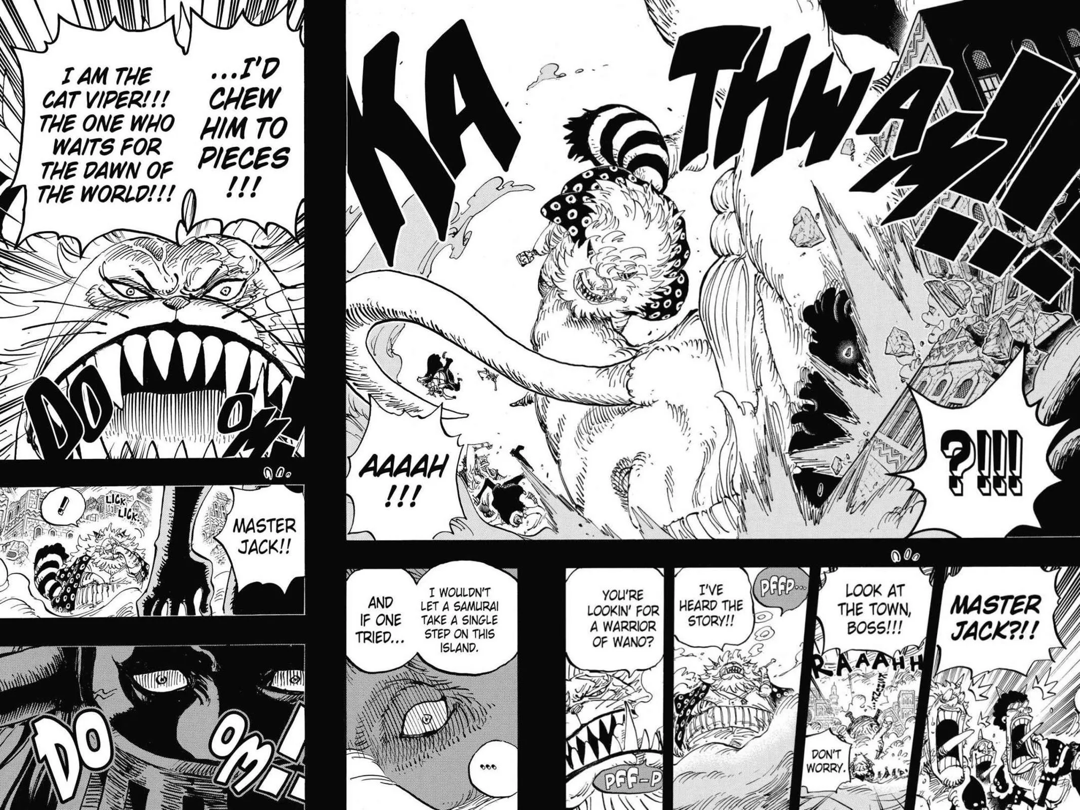 One Piece Chapter 809 Image 16