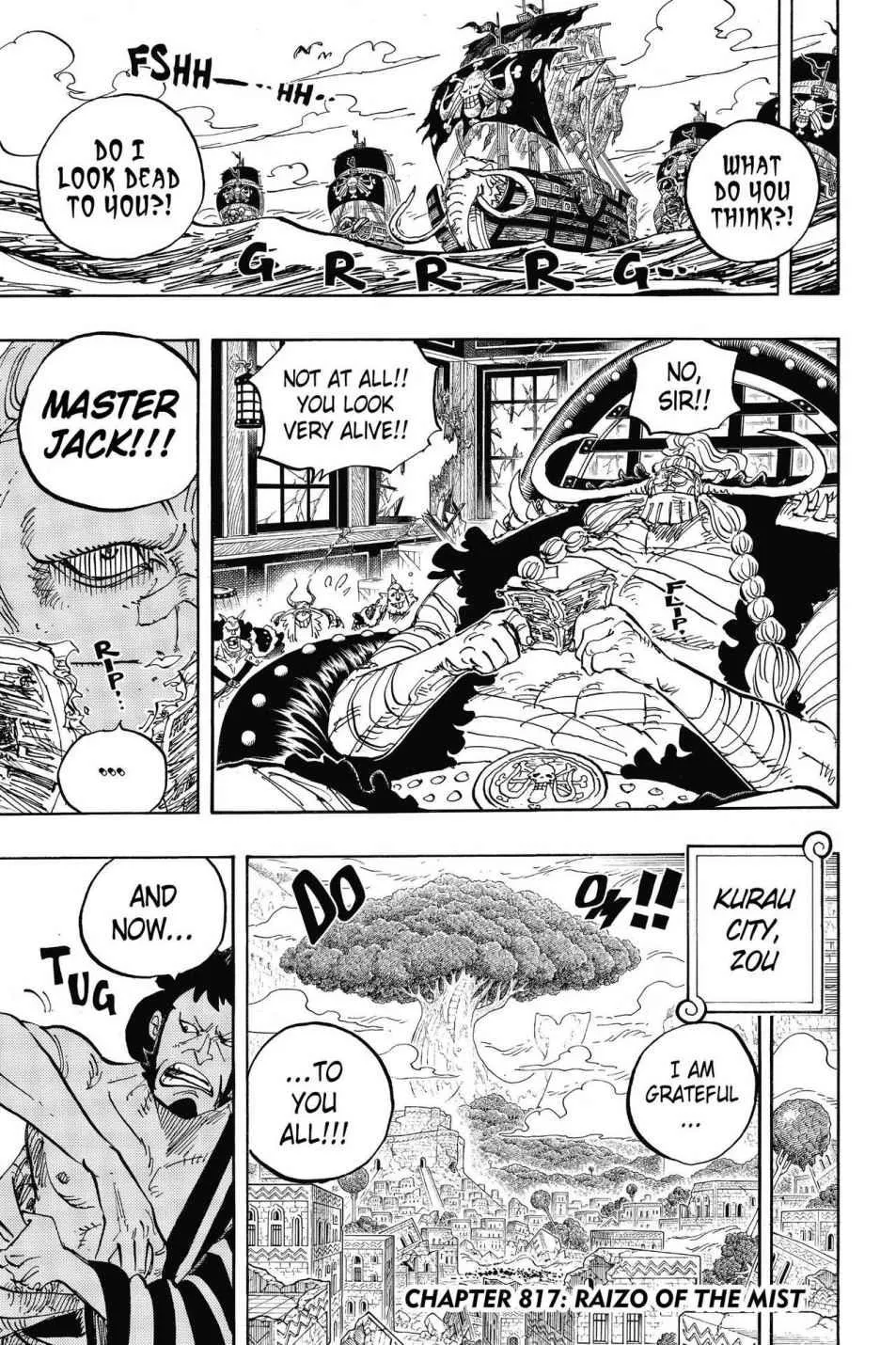 One Piece Chapter 817 Image 10