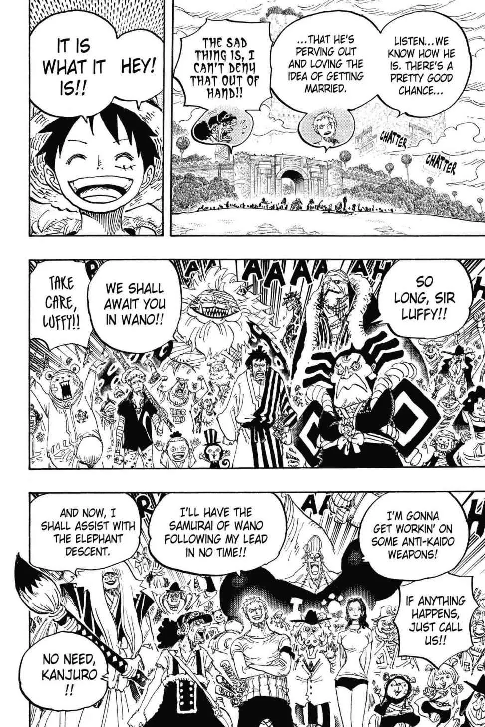 One Piece Chapter 822 Image 14