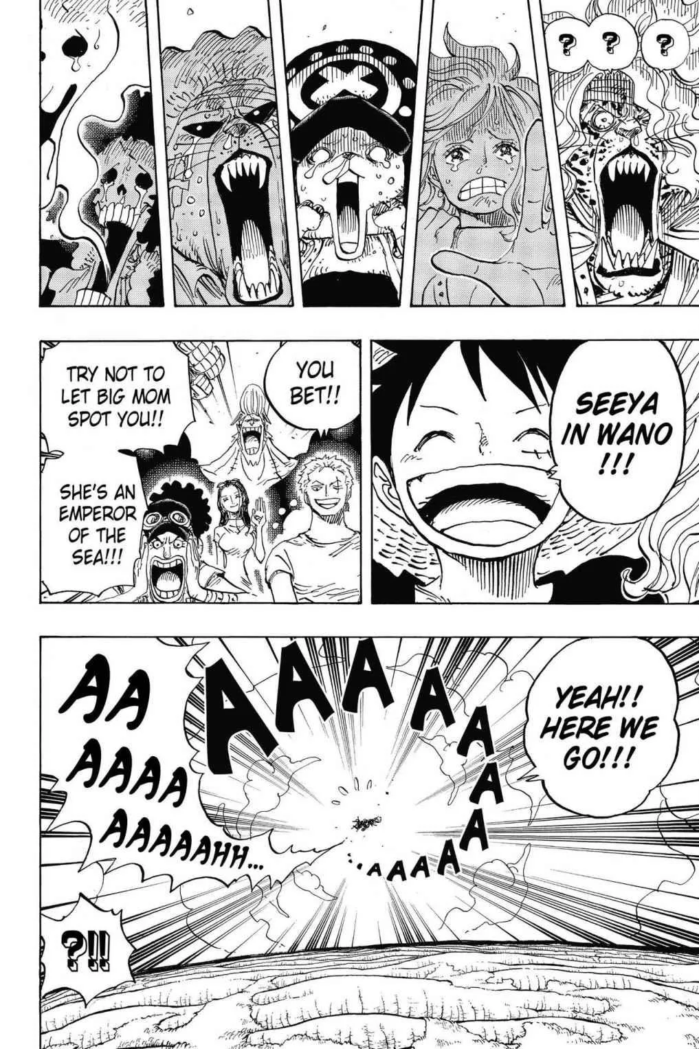 One Piece Chapter 822 Image 16