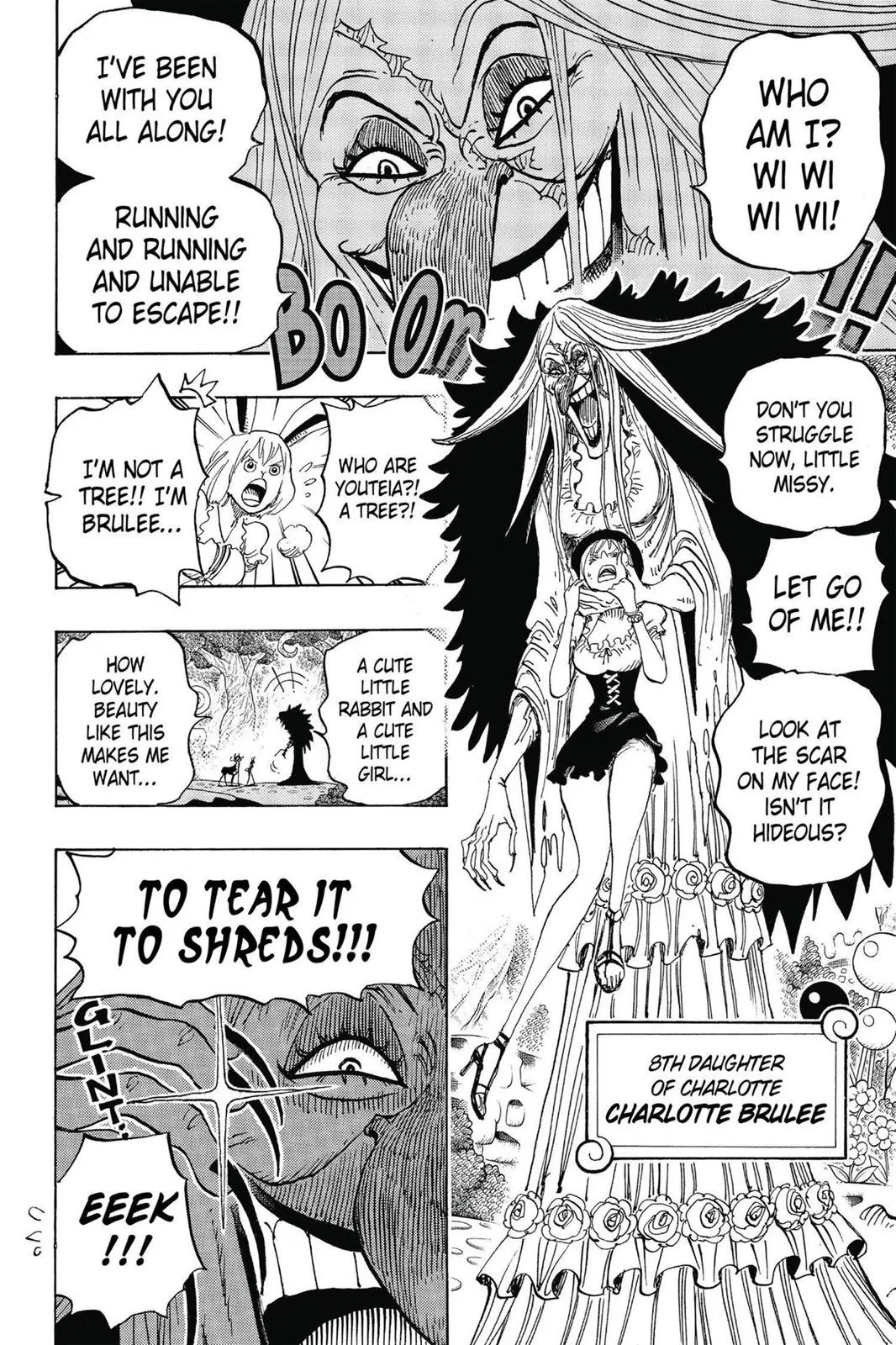 One Piece Chapter 832 Image 12