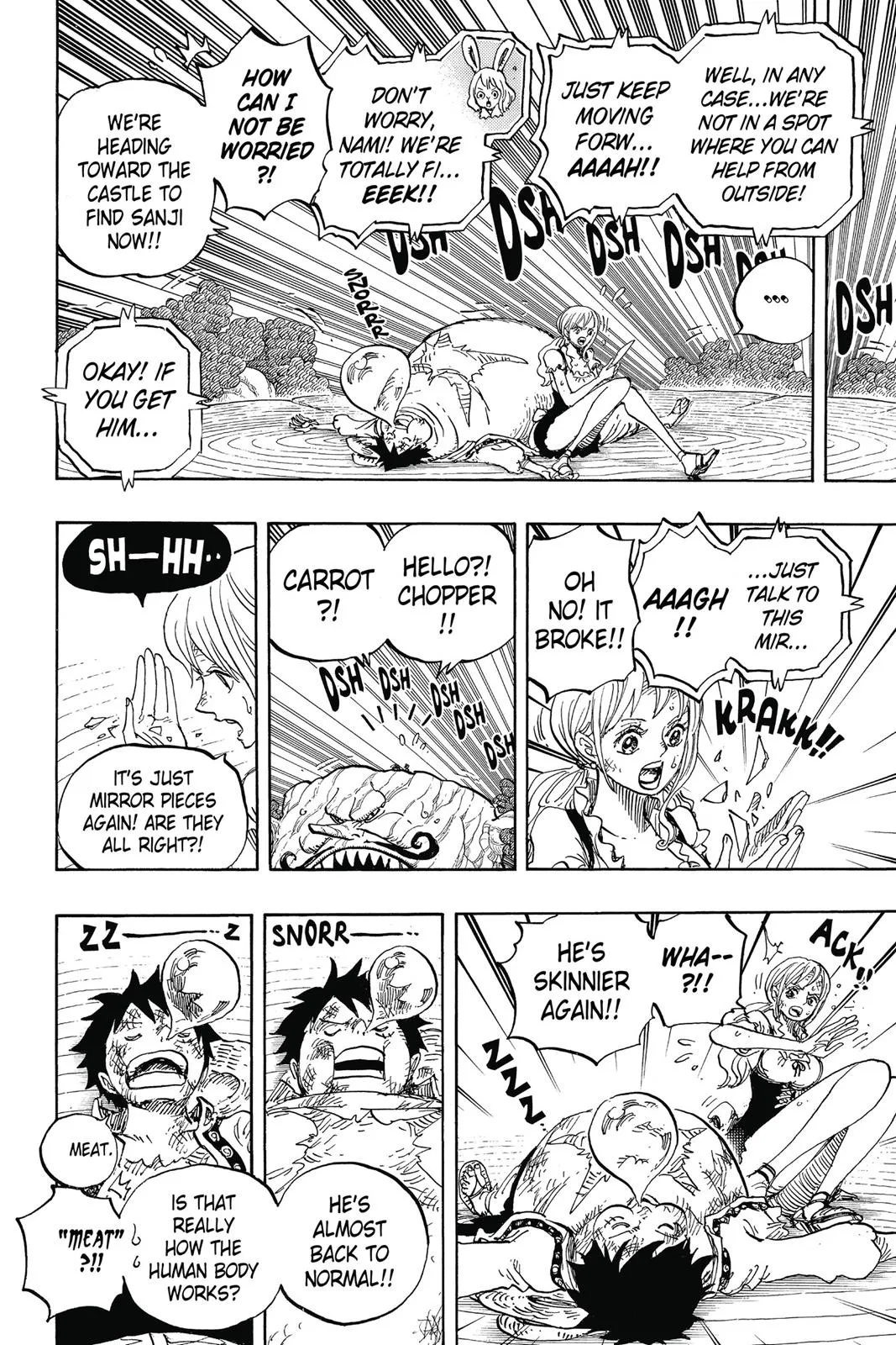 One Piece Chapter 843 Image 11