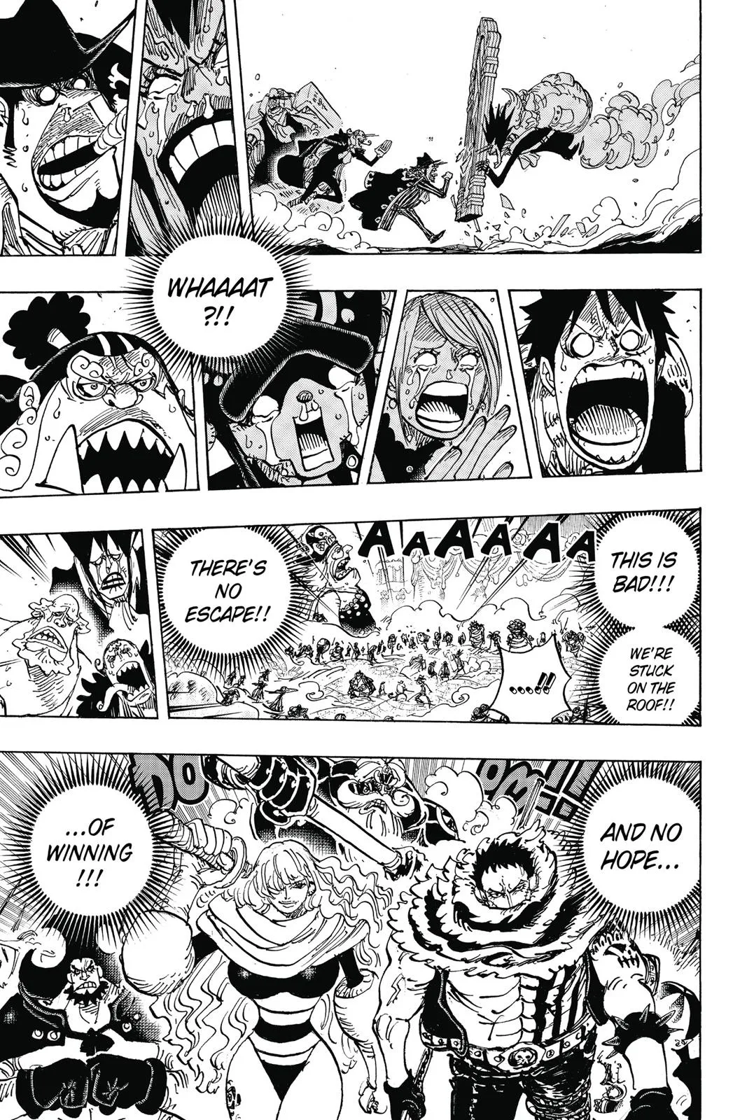 One Piece Chapter 868 Image 12