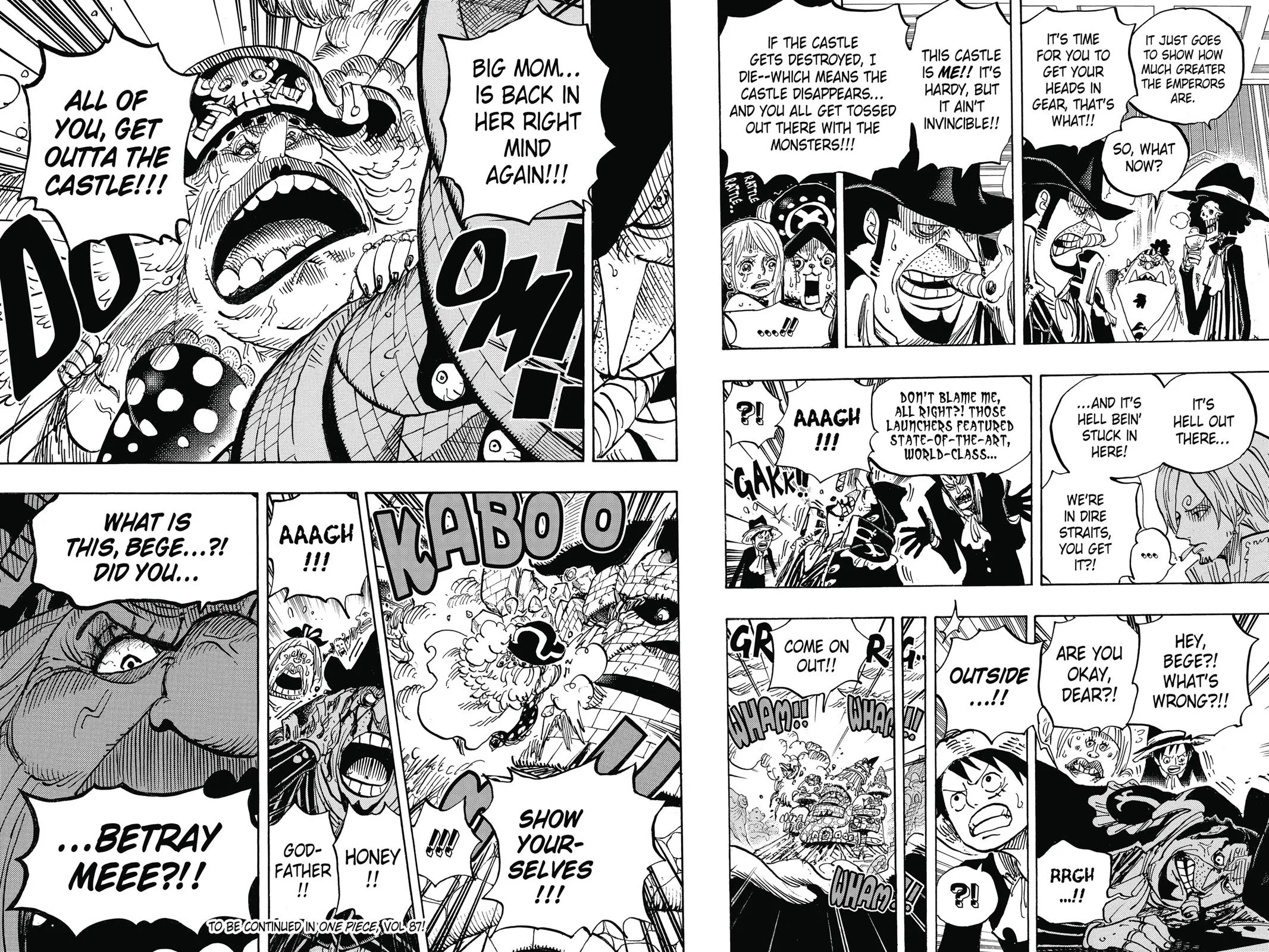 One Piece Chapter 869 Image 16