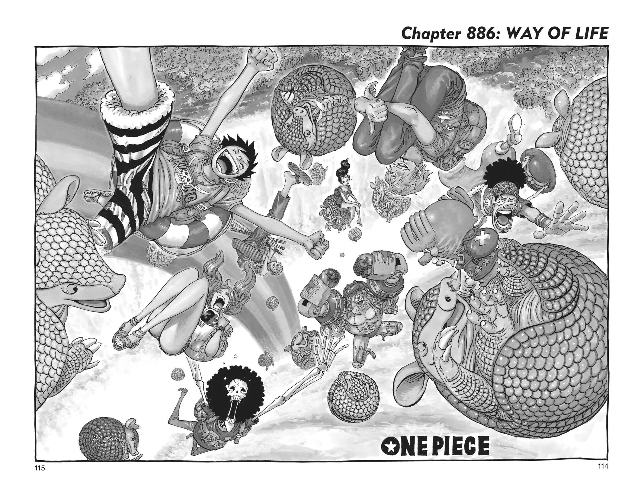 One Piece Chapter 886 Image 1