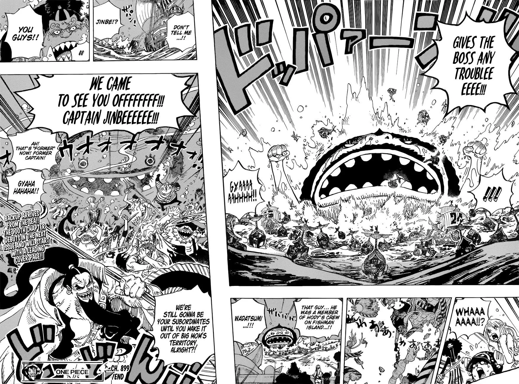 One Piece Chapter 899 Image 17