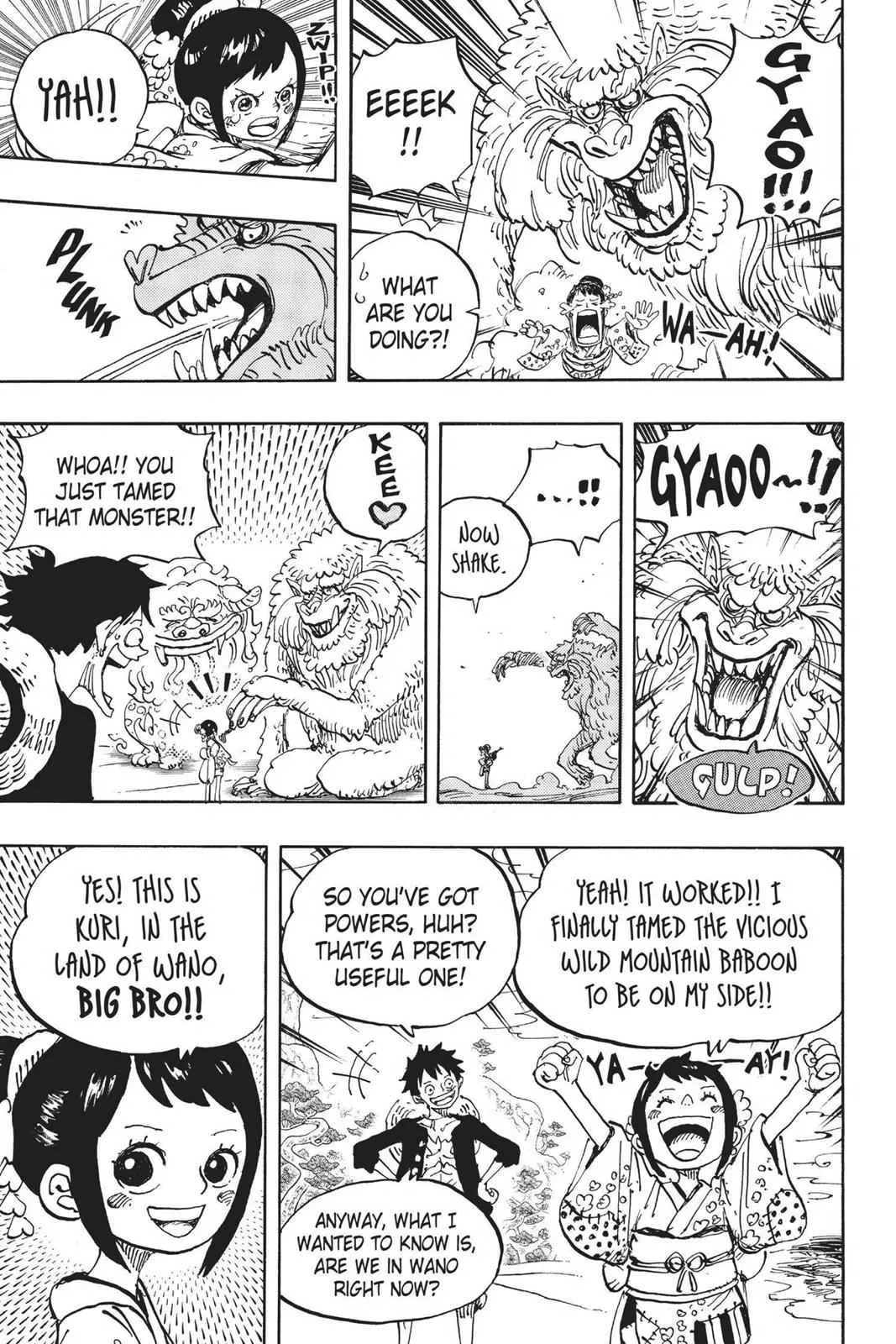 One Piece Chapter 911 Image 18