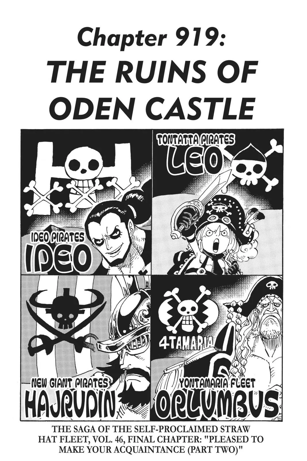 One Piece Chapter 919 Image 1