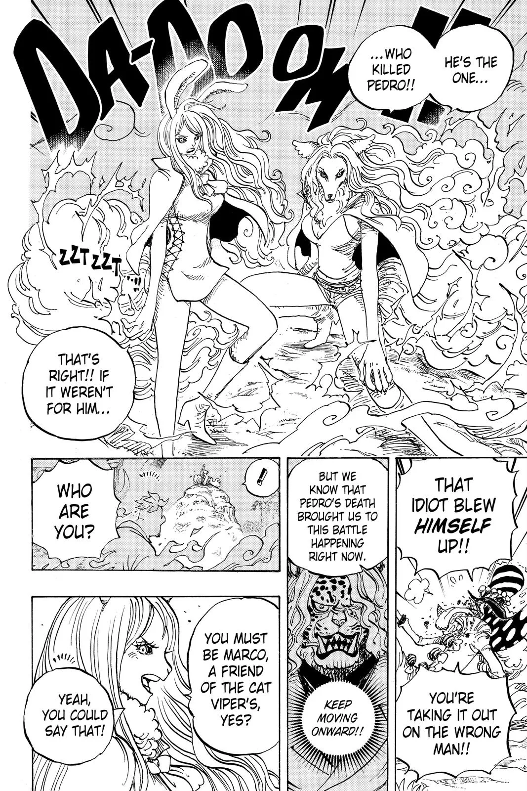 One Piece Chapter 995 Image 11