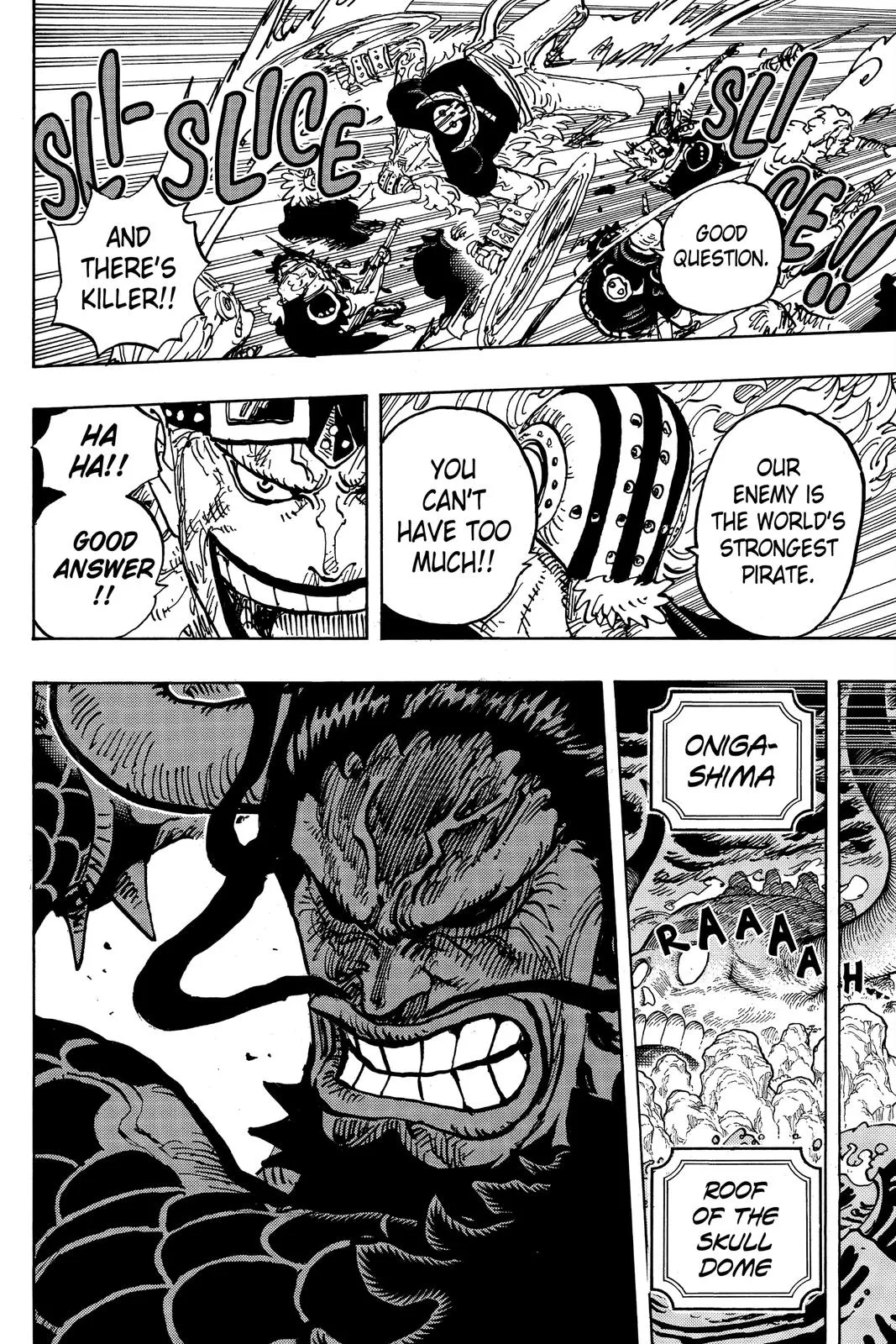 One Piece Chapter 996 Image 14