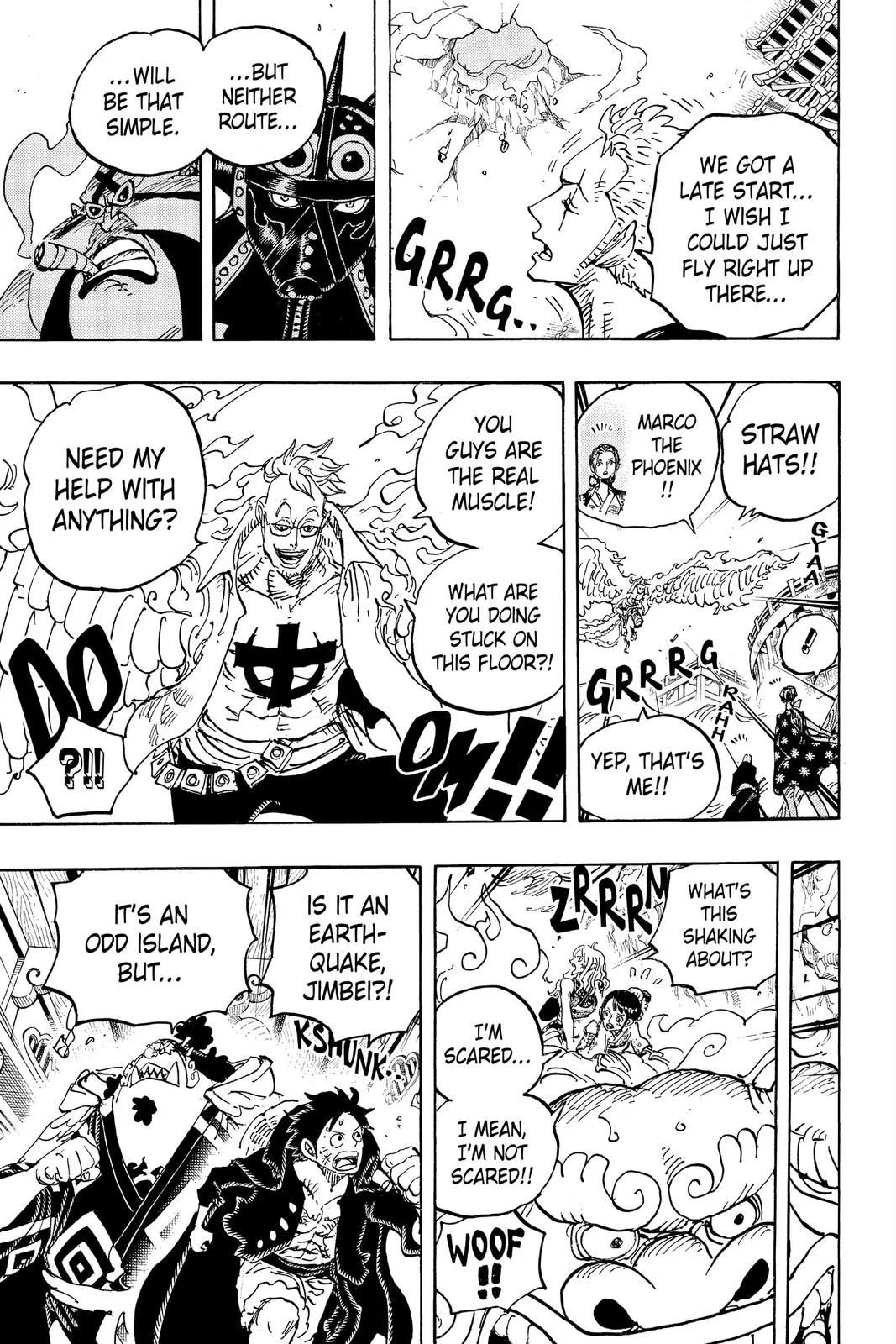 One Piece Chapter 997 Image 13