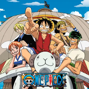 One Piece Cover