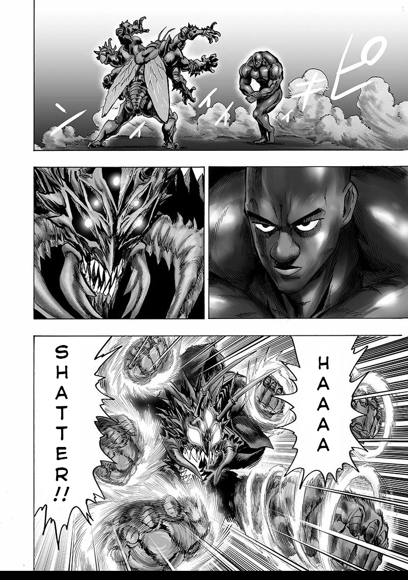 One Punch Man Chapter 106 Image 13