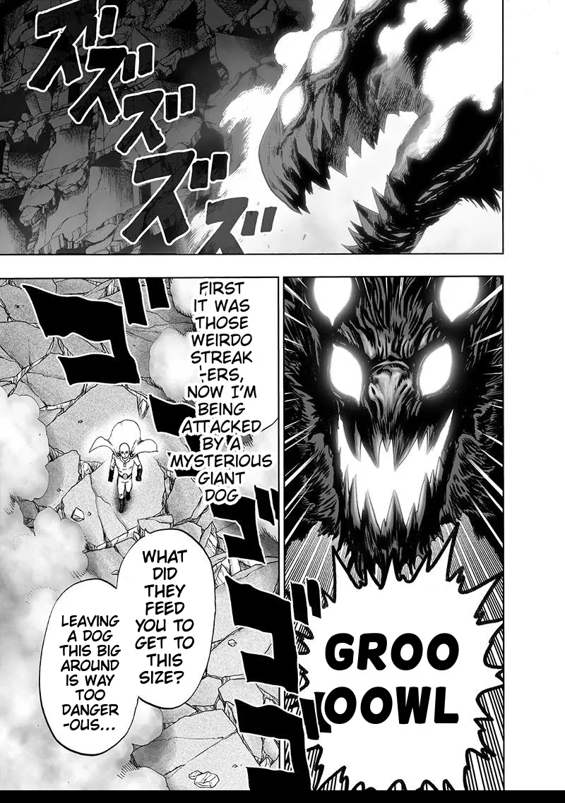 One Punch Man Chapter 106 Image 17