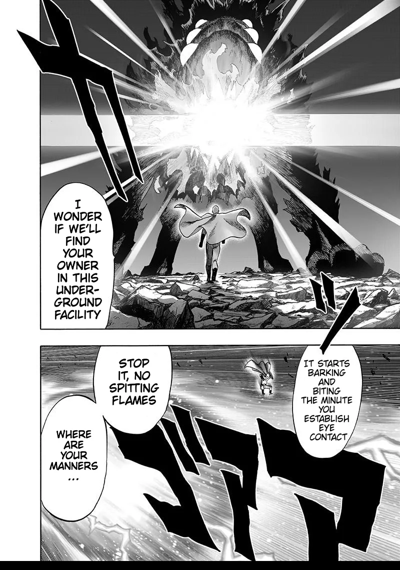 One Punch Man Chapter 106 Image 18