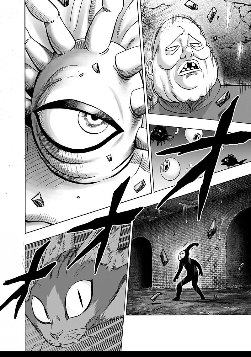 One Punch Man Chapter 106 Image 24