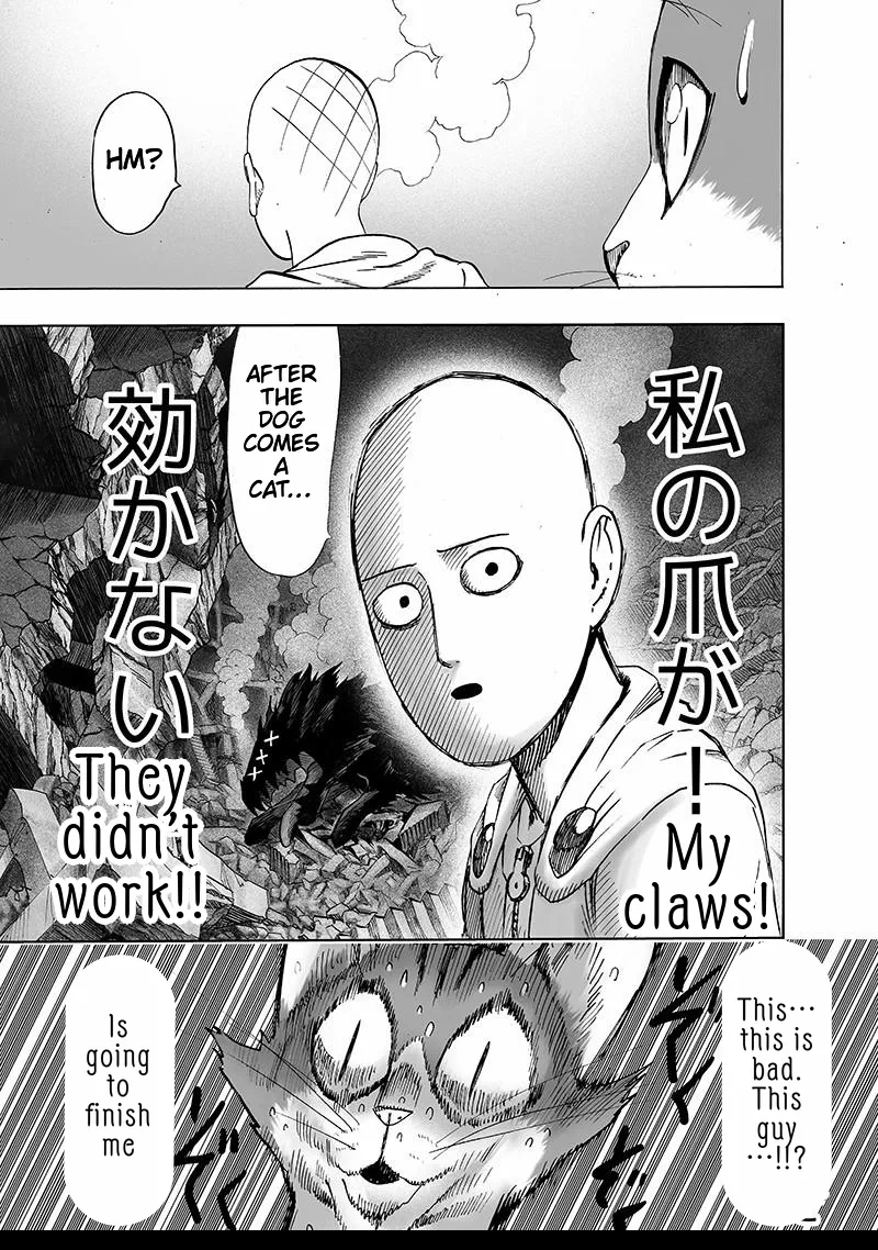 One Punch Man Chapter 106 Image 29