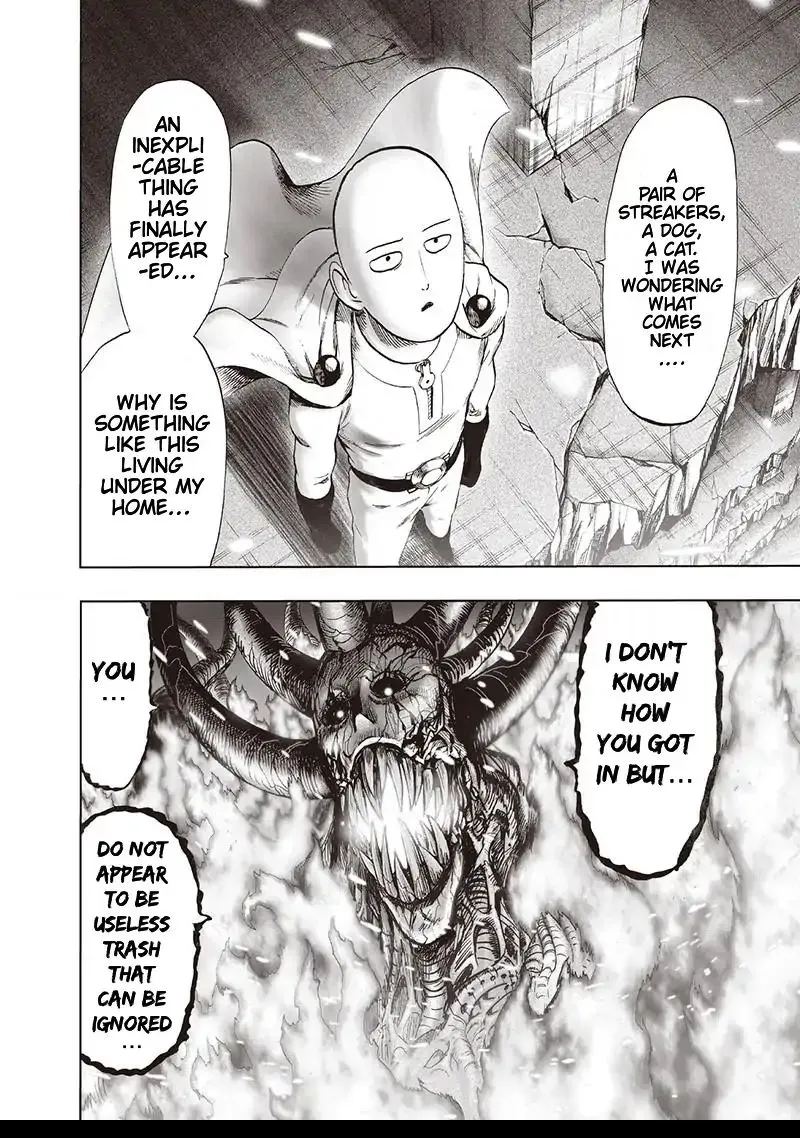 One Punch Man Chapter 107 Image 20