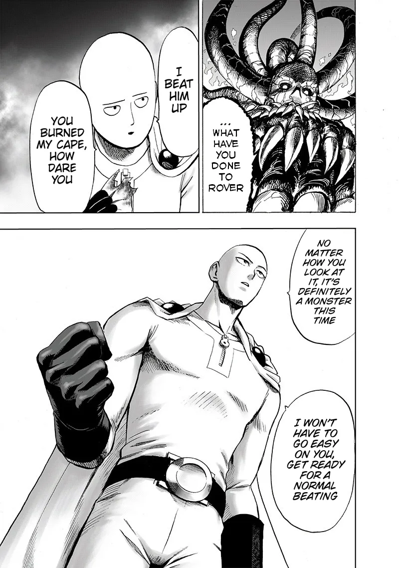 One Punch Man Chapter 108 Image 11