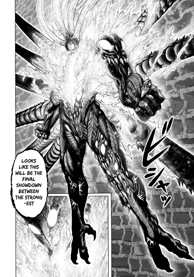 One Punch Man Chapter 108 Image 16