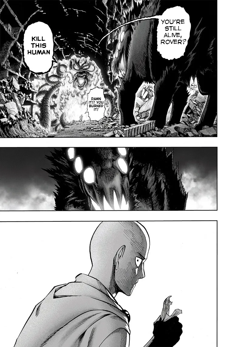 One Punch Man Chapter 108 Image 9