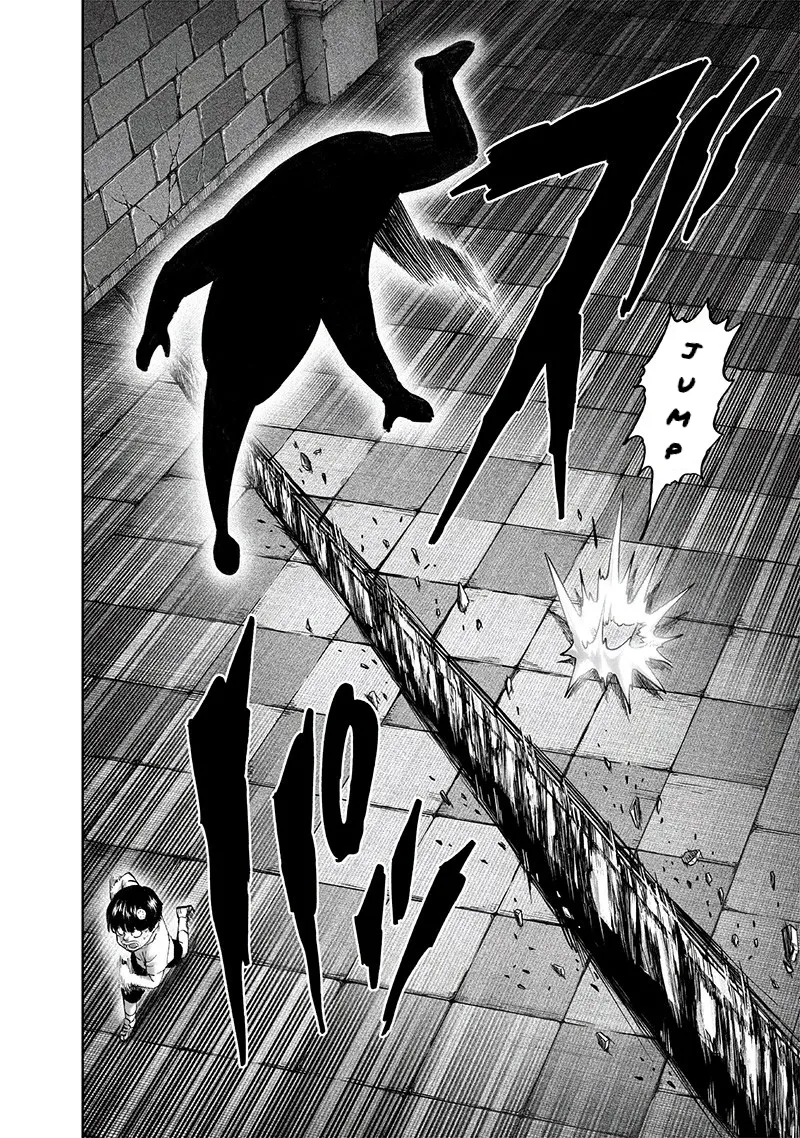 One Punch Man Chapter 110 Image 26