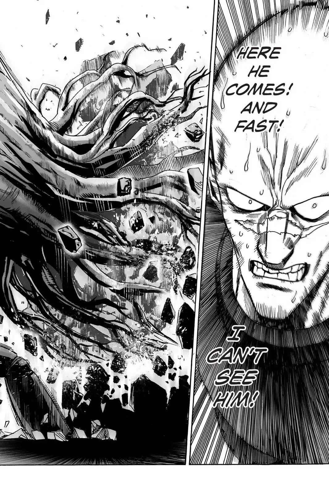 One Punch Man Chapter 13 Image 22