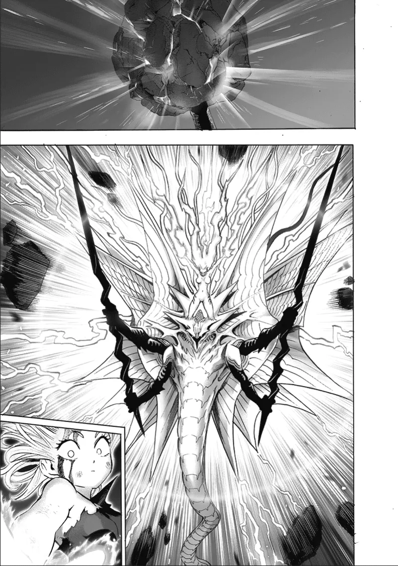 One Punch Man Chapter 133 Image 12