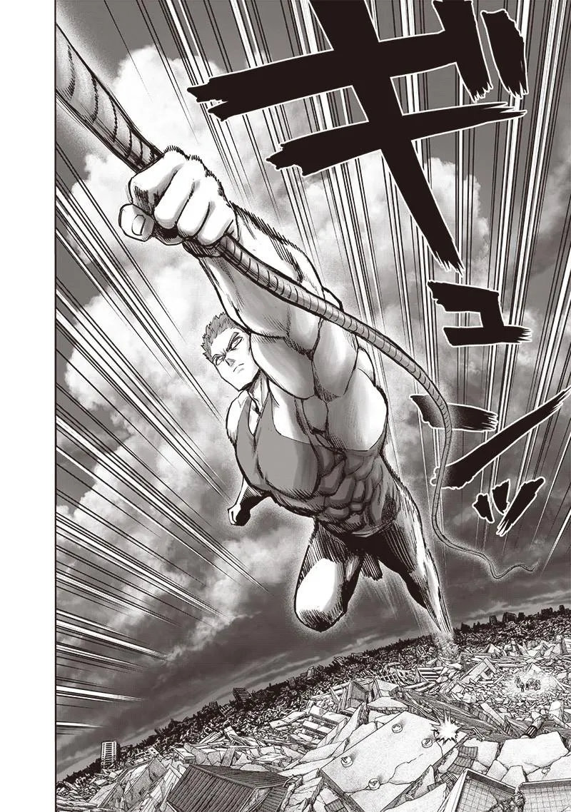 One Punch Man Chapter 135 Image 17