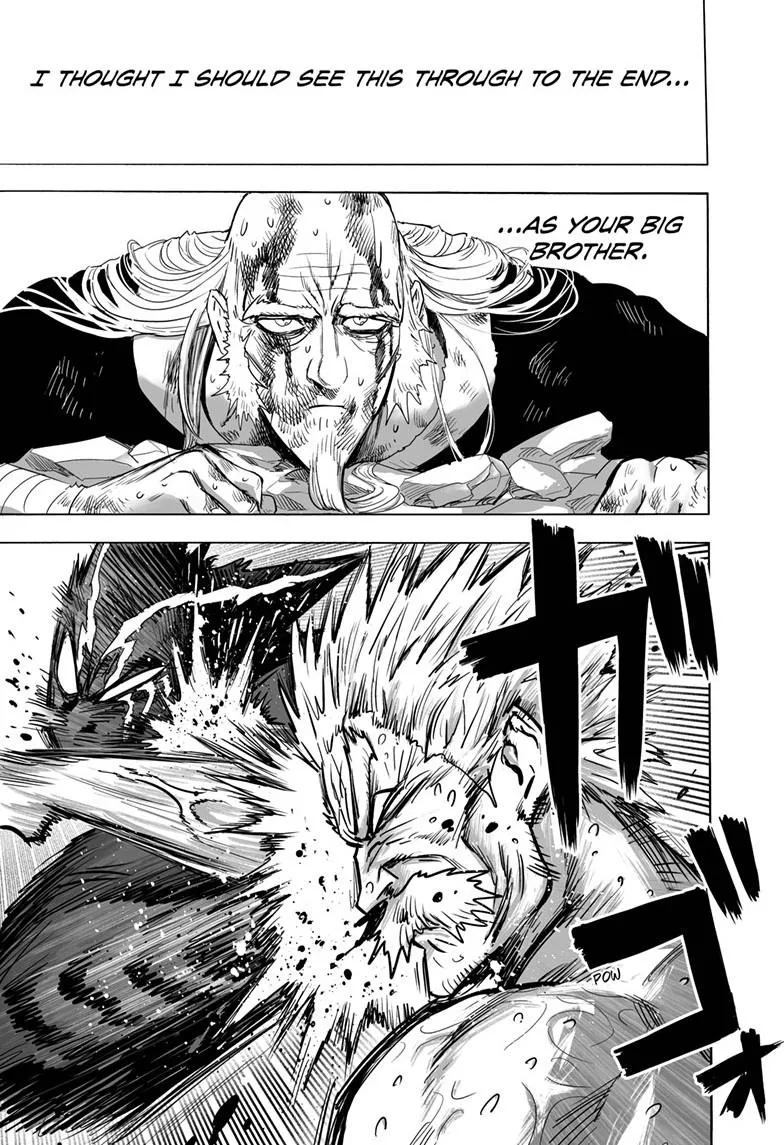 One Punch Man Chapter 150 Image 19