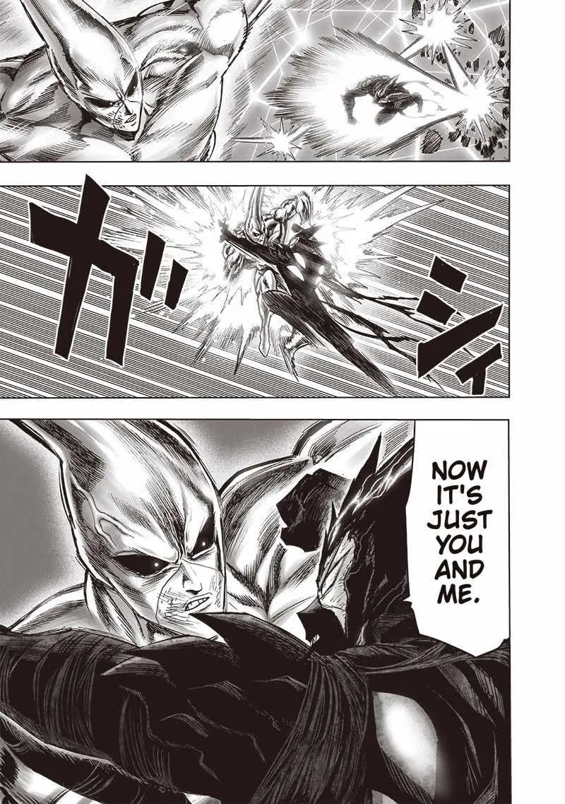 One Punch Man Chapter 156 Image 14