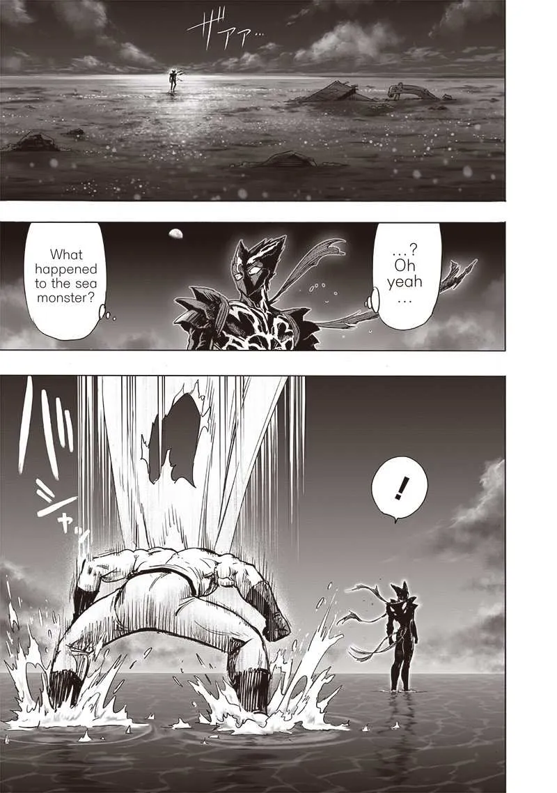 One Punch Man Chapter 160 Image 25