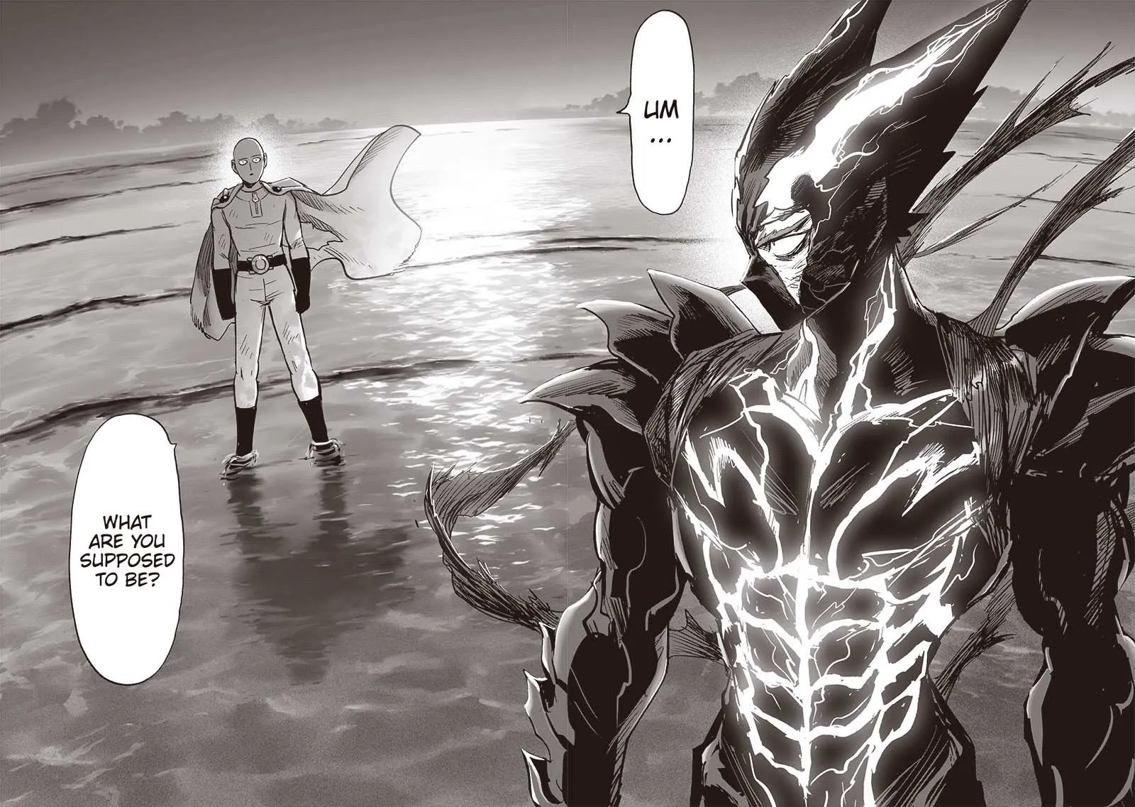 One Punch Man Chapter 160 Image 28