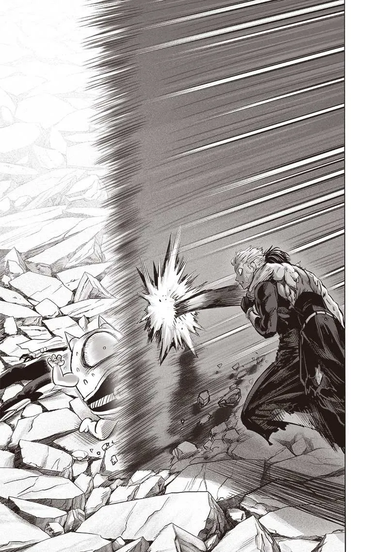 One Punch Man Chapter 160 Image 5