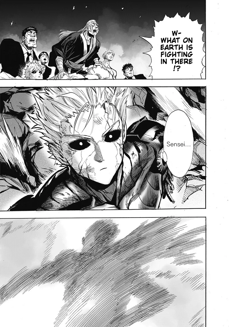 One Punch Man Chapter 165 Image 13