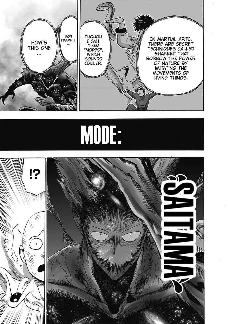 One Punch Man Chapter 165 Image 15