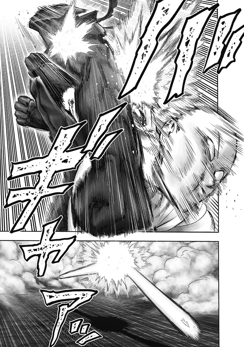 One Punch Man Chapter 165 Image 20