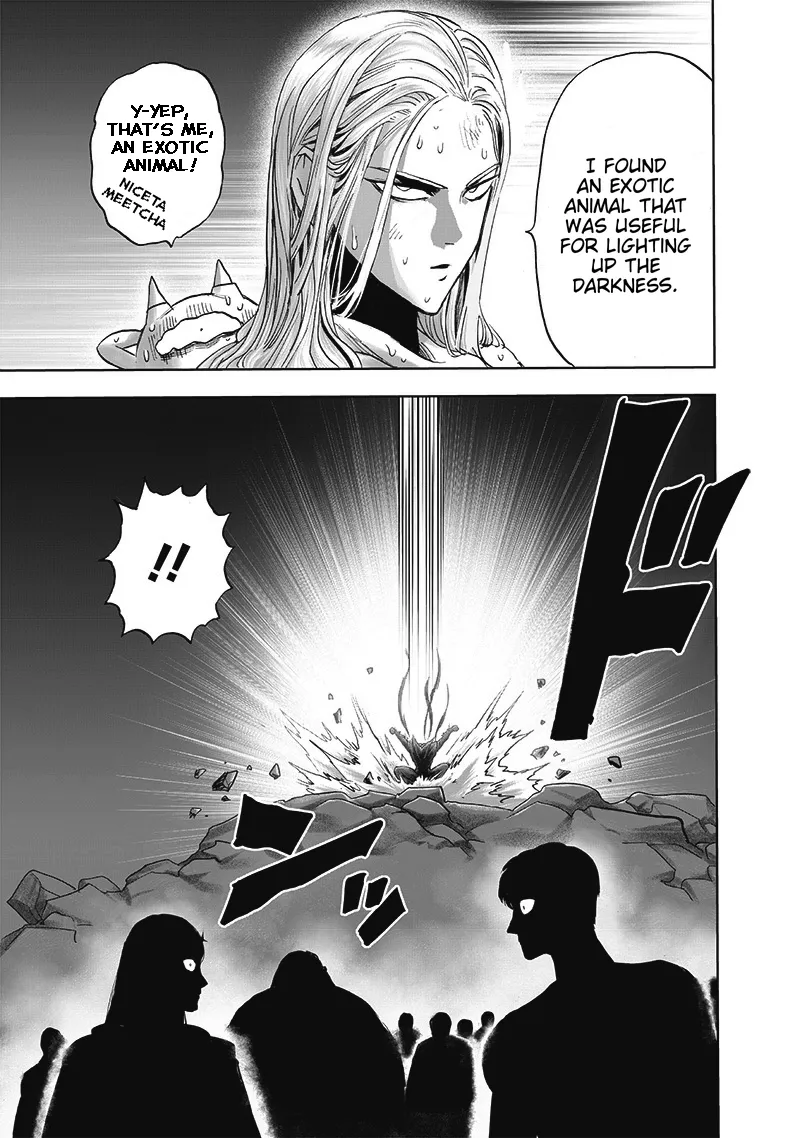 One Punch Man Chapter 165 Image 29