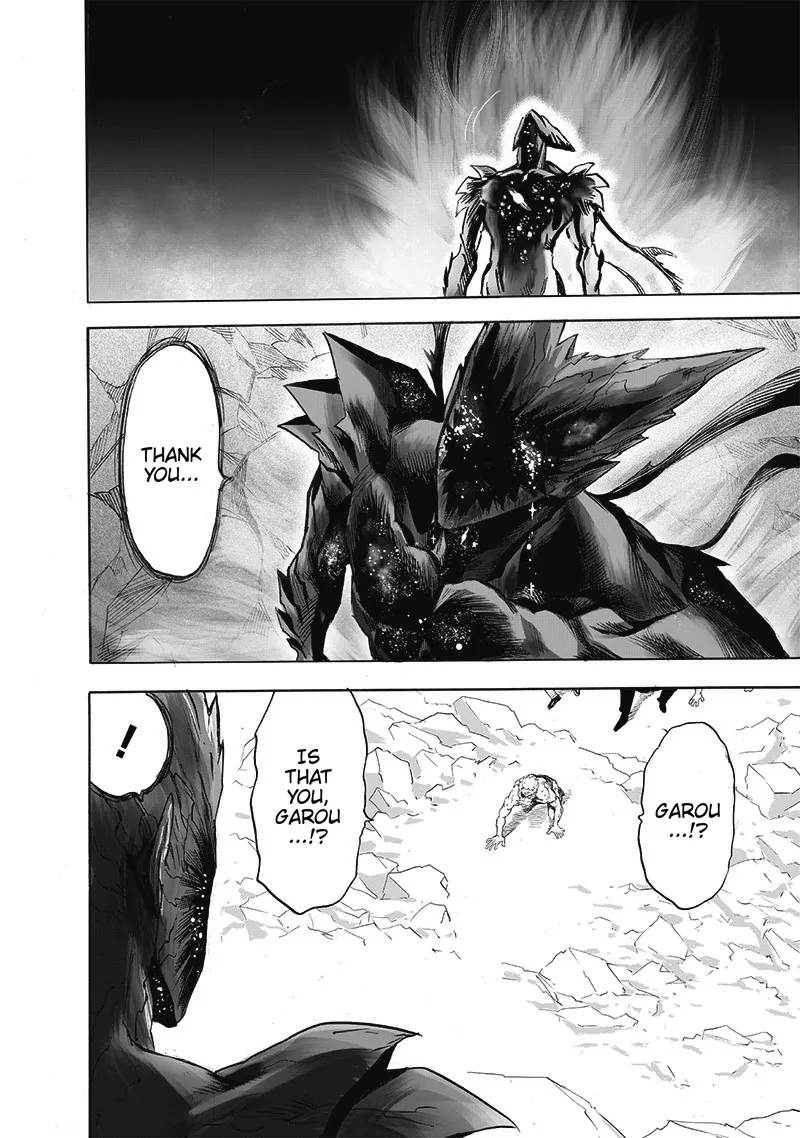 One Punch Man Chapter 165 Image 34