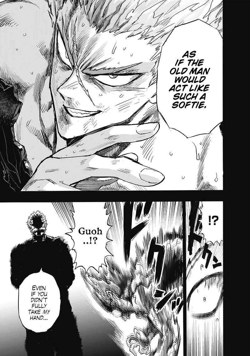 One Punch Man Chapter 165 Image 37