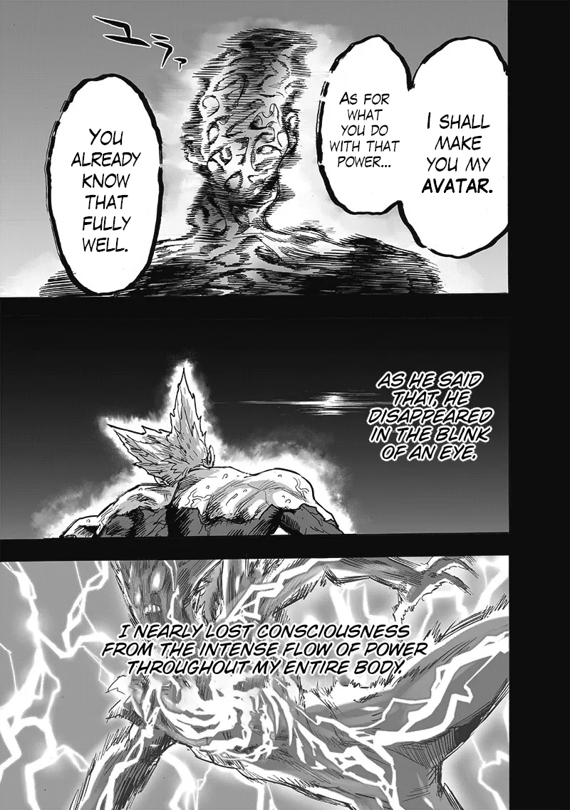 One Punch Man Chapter 165 Image 39