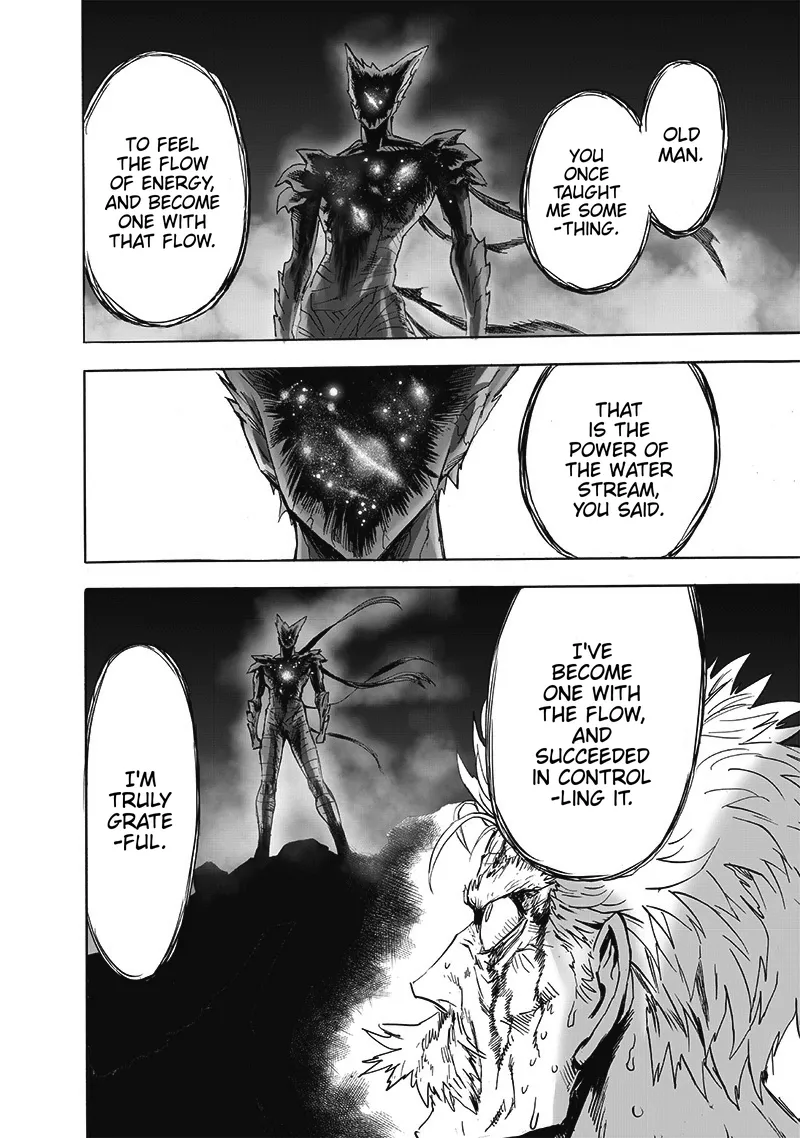 One Punch Man Chapter 165 Image 40