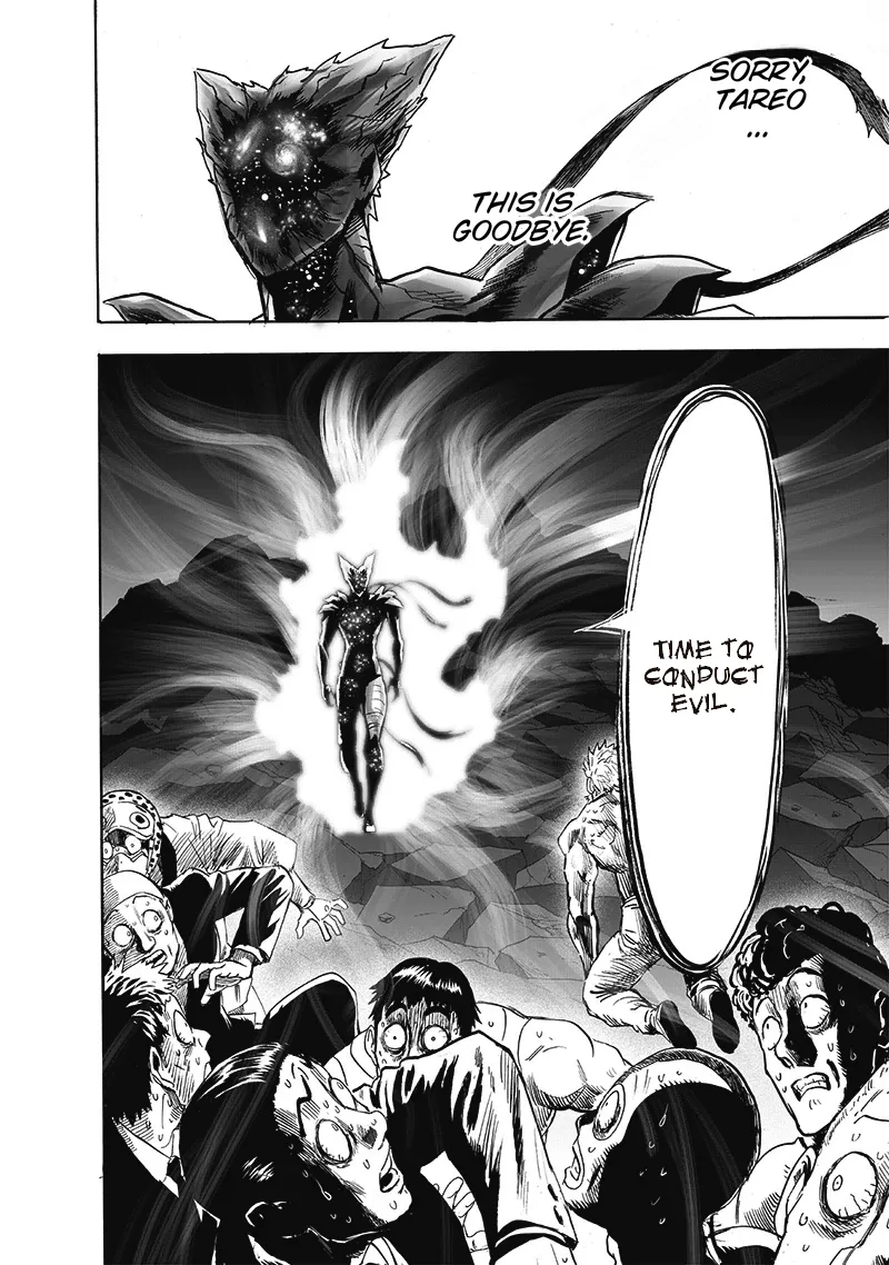 One Punch Man Chapter 165 Image 42