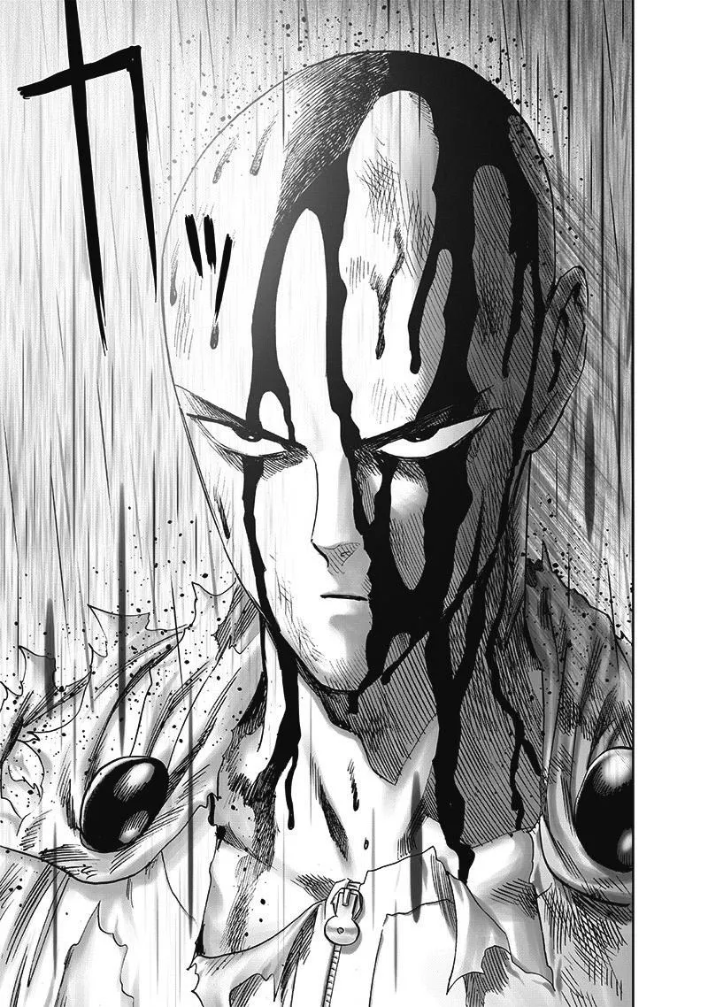 One Punch Man Chapter 166 Image 39